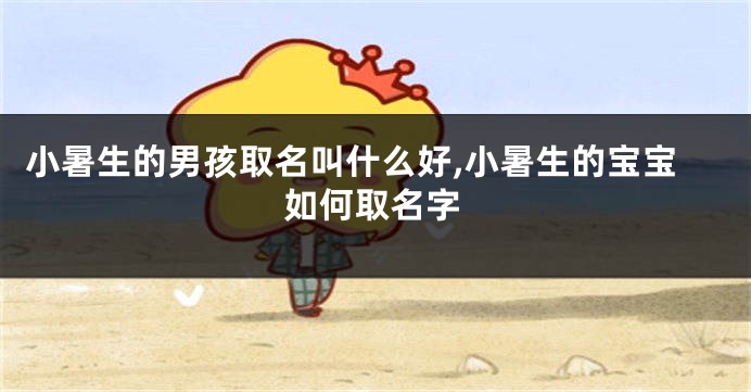 小暑生的男孩取名叫什么好,小暑生的宝宝如何取名字