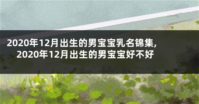 2020年12月出生的男宝宝乳名锦集,2020年12月出生的男宝宝好不好