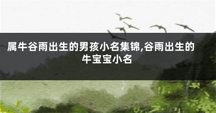 属牛谷雨出生的男孩小名集锦,谷雨出生的牛宝宝小名