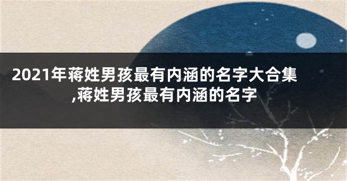 2021年蒋姓男孩最有内涵的名字大合集,蒋姓男孩最有内涵的名字