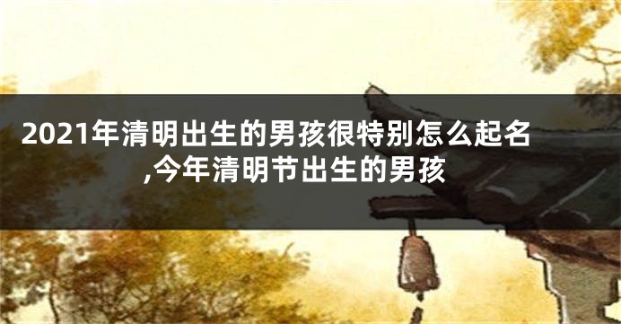2021年清明出生的男孩很特别怎么起名,今年清明节出生的男孩