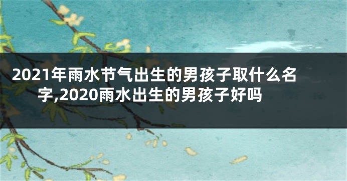 2021年雨水节气出生的男孩子取什么名字,2020雨水出生的男孩子好吗