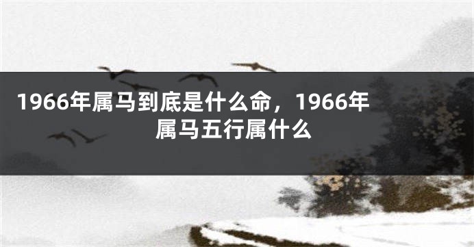 1966年属马到底是什么命,1966年属马五行属什么