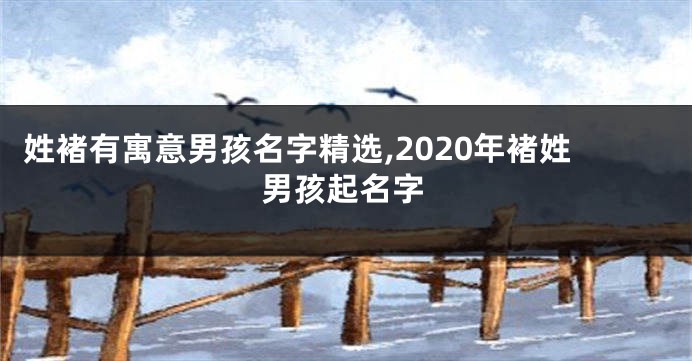 姓褚有寓意男孩名字精选,2020年褚姓男孩起名字