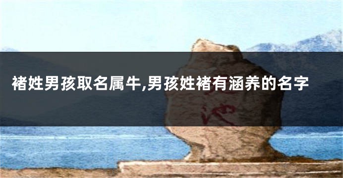 褚姓男孩取名属牛,男孩姓褚有涵养的名字