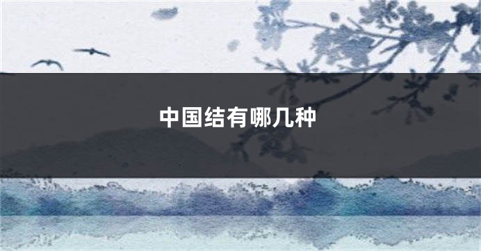 中国结有哪几种