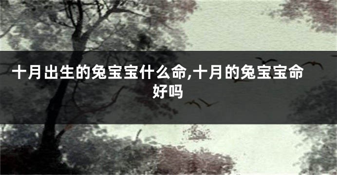 十月出生的兔宝宝什么命,十月的兔宝宝命好吗
