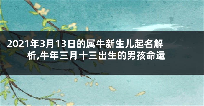 2021年3月13日的属牛新生儿起名解析,牛年三月十三出生的男孩命运