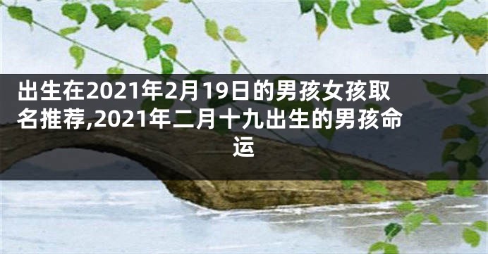 出生在2021年2月19日的男孩女孩取名推荐,2021年二月十九出生的男孩命运