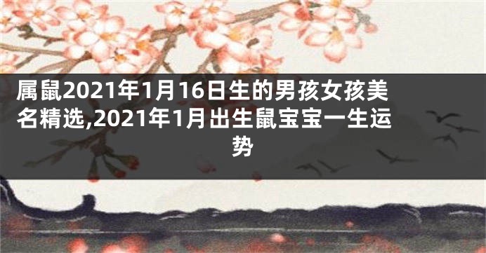 属鼠2021年1月16日生的男孩女孩美名精选,2021年1月出生鼠宝宝一生运势