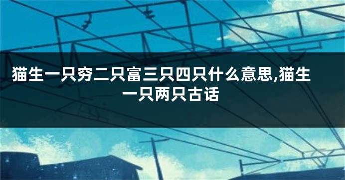 猫生一只穷二只富三只四只什么意思,猫生一只两只古话