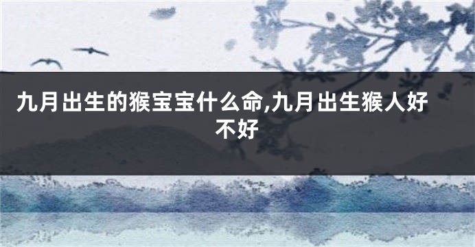 九月出生的猴宝宝什么命,九月出生猴人好不好