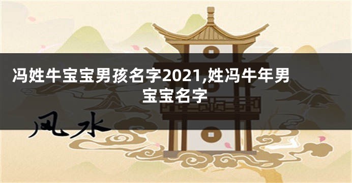 冯姓牛宝宝男孩名字2021,姓冯牛年男宝宝名字