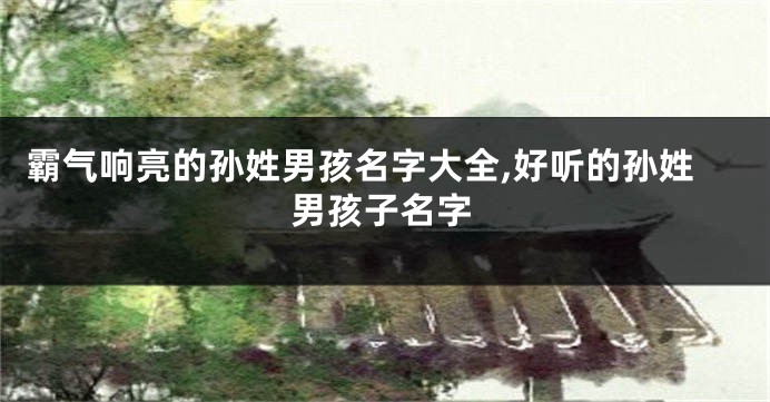 霸气响亮的孙姓男孩名字大全,好听的孙姓男孩子名字