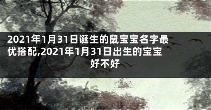 2021年1月31日诞生的鼠宝宝名字最优搭配,2021年1月31日出生的宝宝好不好