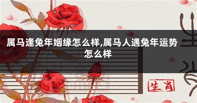 属马逢兔年姻缘怎么样,属马人遇兔年运势怎么样