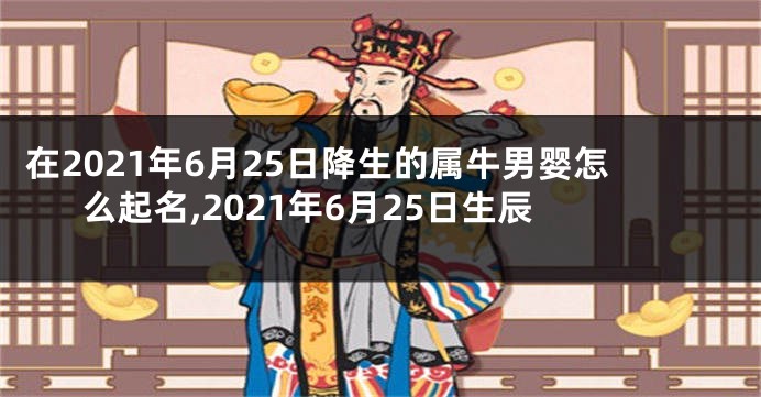 在2021年6月25日降生的属牛男婴怎么起名,2021年6月25日生辰