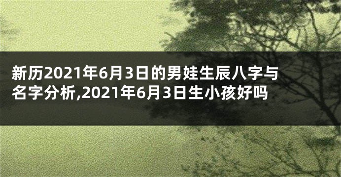 新历2021年6月3日的男娃生辰八字与名字分析,2021年6月3日生小孩好吗