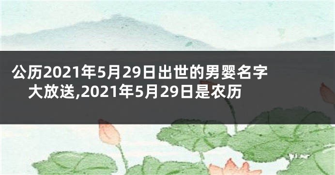 公历2021年5月29日出世的男婴名字大放送,2021年5月29日是农历