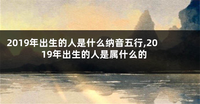 2019年出生的人是什么纳音五行,2019年出生的人是属什么的