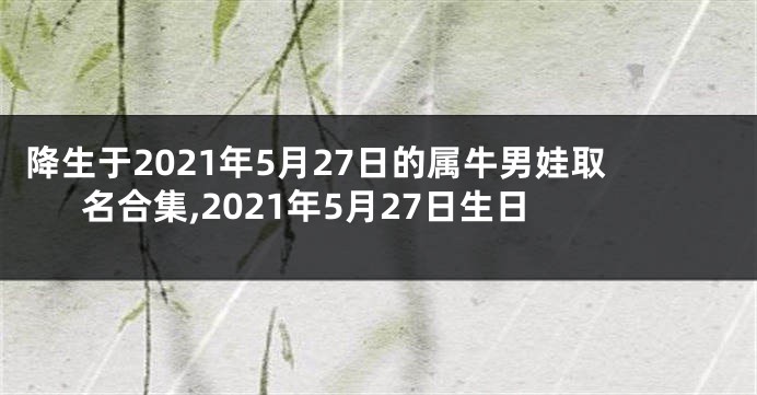 降生于2021年5月27日的属牛男娃取名合集,2021年5月27日生日