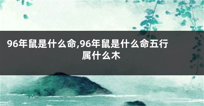 96年鼠是什么命,96年鼠是什么命五行属什么木