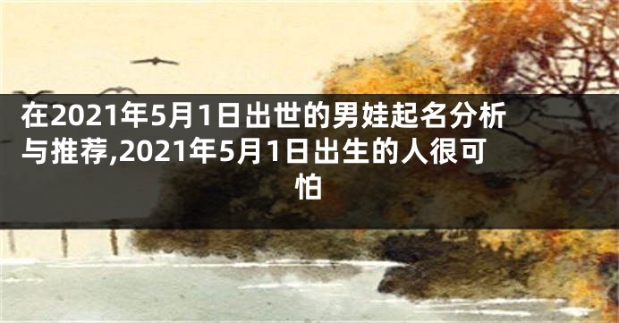 在2021年5月1日出世的男娃起名分析与推荐,2021年5月1日出生的人很可怕