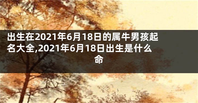 出生在2021年6月18日的属牛男孩起名大全,2021年6月18日出生是什么命