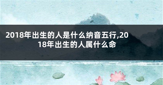 2018年出生的人是什么纳音五行,2018年出生的人属什么命