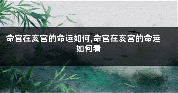 命宫在亥宫的命运如何,命宫在亥宫的命运如何看