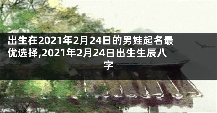 出生在2021年2月24日的男娃起名最优选择,2021年2月24日出生生辰八字