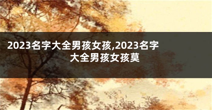 2023名字大全男孩女孩,2023名字大全男孩女孩莫