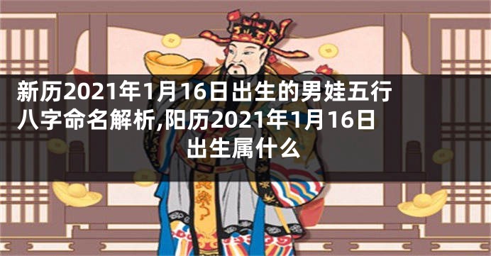新历2021年1月16日出生的男娃五行八字命名解析,阳历2021年1月16日出生属什么