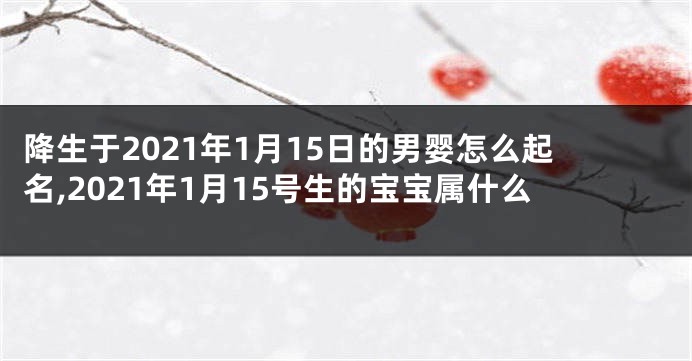 降生于2021年1月15日的男婴怎么起名,2021年1月15号生的宝宝属什么