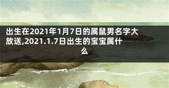 出生在2021年1月7日的属鼠男名字大放送,2021.1.7日出生的宝宝属什么