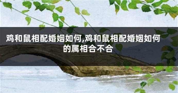 鸡和鼠相配婚姻如何,鸡和鼠相配婚姻如何的属相合不合