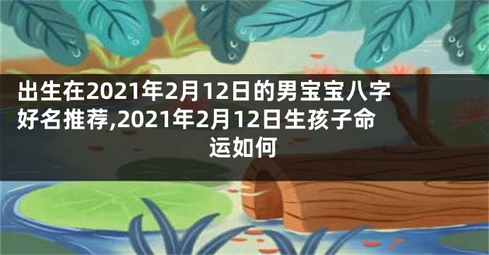 出生在2021年2月12日的男宝宝八字好名推荐,2021年2月12日生孩子命运如何