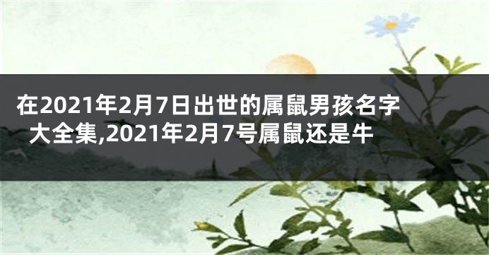 在2021年2月7日出世的属鼠男孩名字大全集,2021年2月7号属鼠还是牛