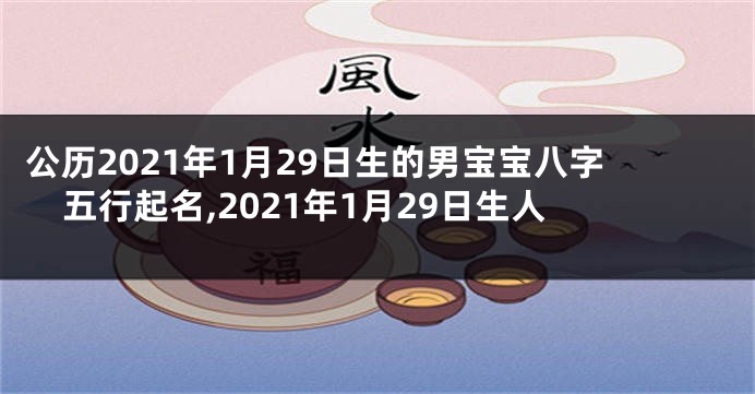 公历2021年1月29日生的男宝宝八字五行起名,2021年1月29日生人