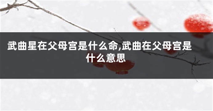 武曲星在父母宫是什么命,武曲在父母宫是什么意思