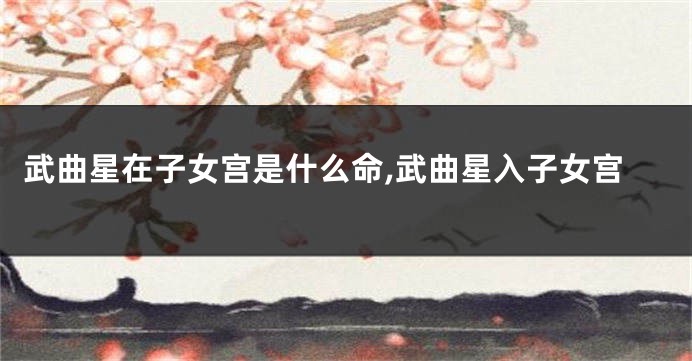 武曲星在子女宫是什么命,武曲星入子女宫