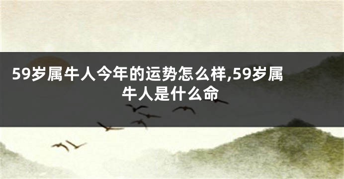59岁属牛人今年的运势怎么样,59岁属牛人是什么命