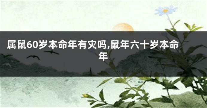 属鼠60岁本命年有灾吗,鼠年六十岁本命年