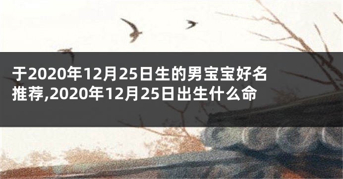 于2020年12月25日生的男宝宝好名推荐,2020年12月25日出生什么命