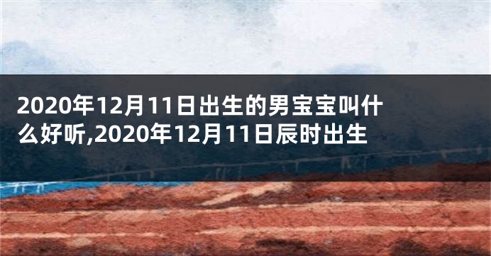 2020年12月11日出生的男宝宝叫什么好听,2020年12月11日辰时出生