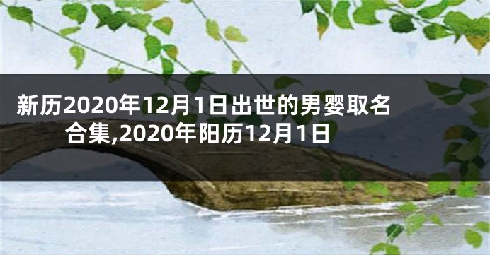 新历2020年12月1日出世的男婴取名合集,2020年阳历12月1日