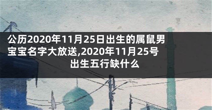 公历2020年11月25日出生的属鼠男宝宝名字大放送,2020年11月25号出生五行缺什么