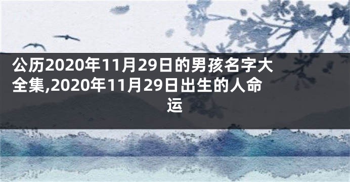 公历2020年11月29日的男孩名字大全集,2020年11月29日出生的人命运