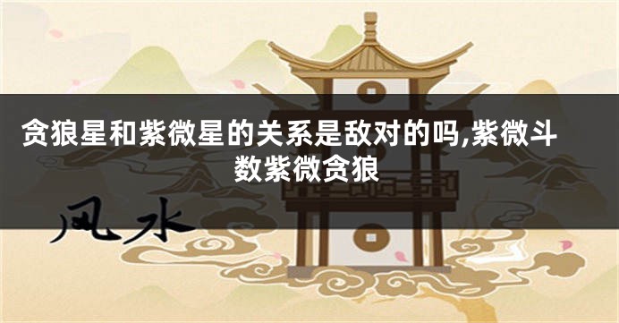 贪狼星和紫微星的关系是敌对的吗,紫微斗数紫微贪狼