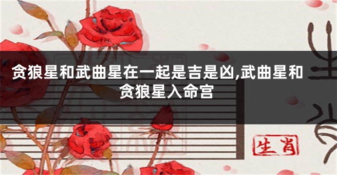 贪狼星和武曲星在一起是吉是凶,武曲星和贪狼星入命宫